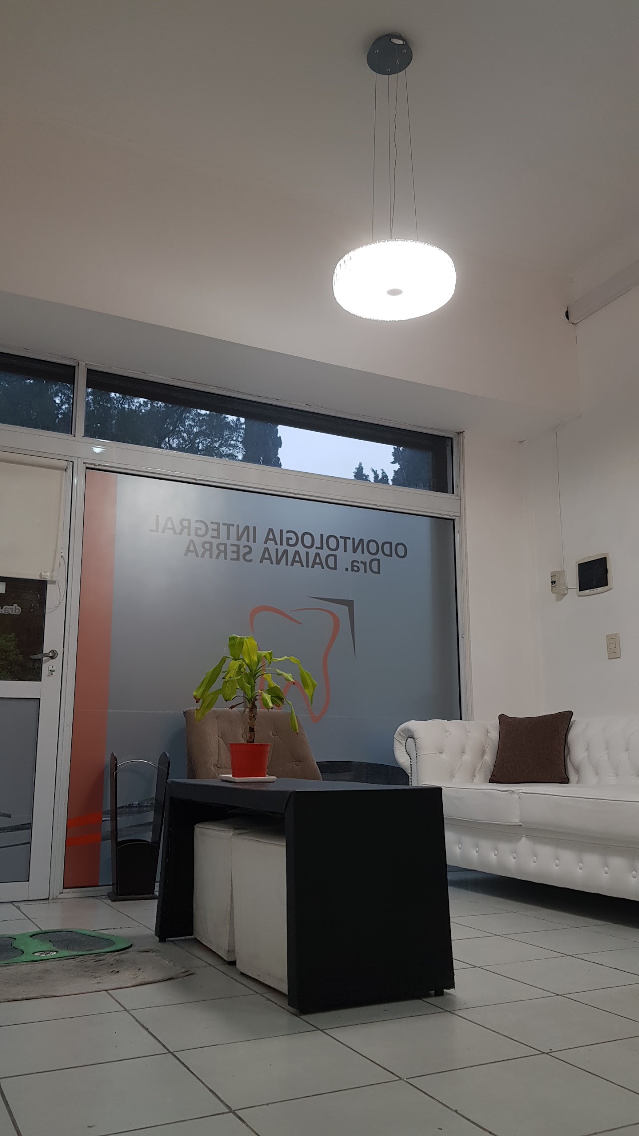 Bandeja de instrumental odontológico de acero inoxidable esterilizado